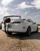 Coady Wells Supra