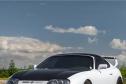 Coady Wells Supra